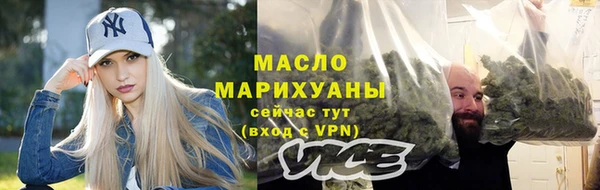 тгк Пересвет