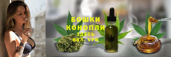 мяу мяу мука Пестово