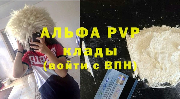тгк Пересвет