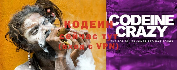 тгк Пересвет