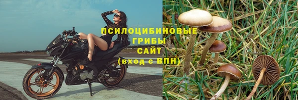 мяу мяу мука Пестово