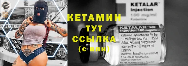 тгк Пересвет