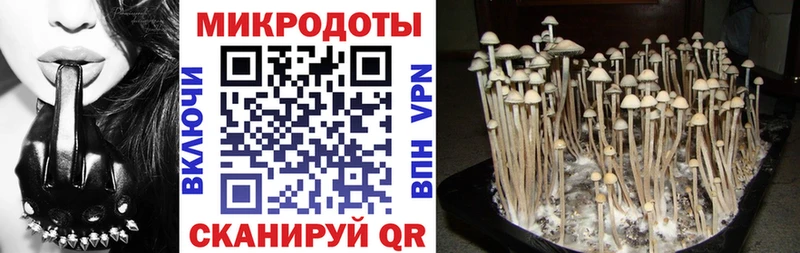 Галлюциногенные грибы Magic Shrooms купить наркоту Тобольск